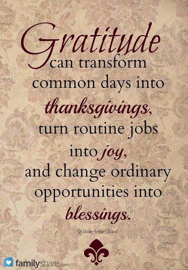 A GRATITUDE QUOTE