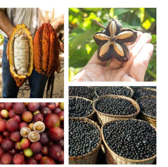 SUPERFOODS FOUND IN KACHAVA