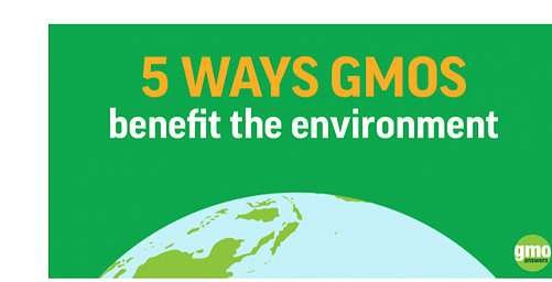 SHOWS 5 WAYS GMOS BENEFIT THE ENVIRONMENT. SHOWS A PORTION OF THE EARTH