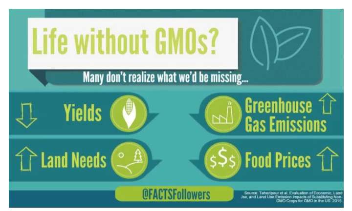 GMOs - LIFE WITH OR WITHOUT THEM