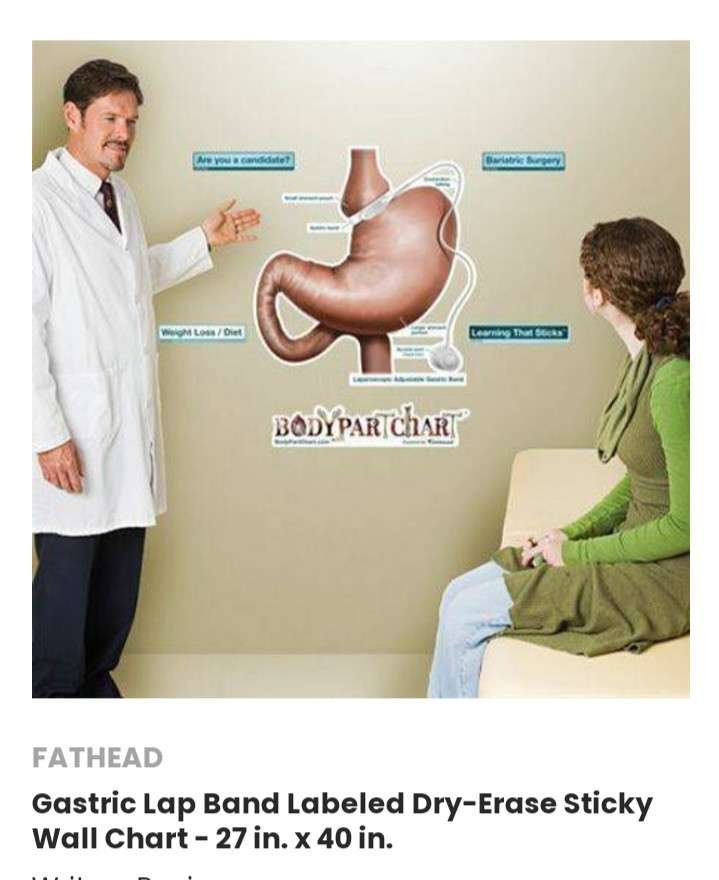 DIAGRAM OD A DOCTOR EXPLAING GASTRIC BYPASS TO PATIENT