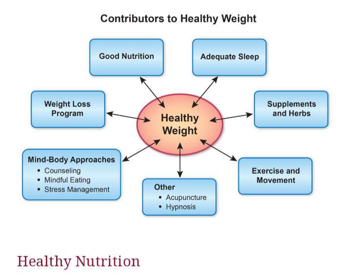 HEALTHY WEIGHT DIAGRAM IN BLUE AND WHITE - SEVEN COMPONENTS OF HEALTHY NUTRITION