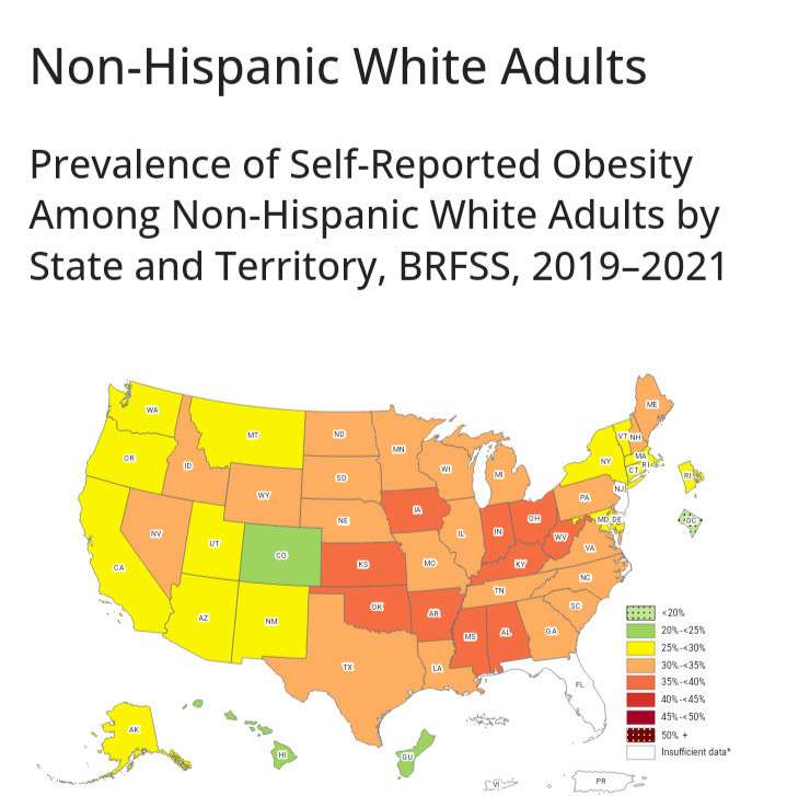 CDC OBESITY MAP - SELF REPORTED NON=HISPANIC WHITES