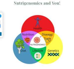 overlapping circles that share content relative to nutrition