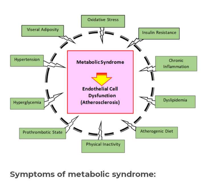 OBESITY - RESULTS IN METABOLIC SYNDROME CONDITIONS