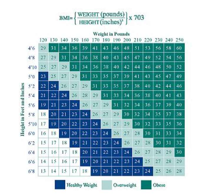 BMI CHART - THREE LEVELS HEALTHY WEIGHT, OVERWEIGHT, OBESE