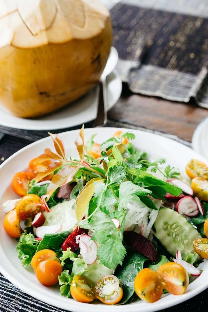 VEGETARIAN PLATE OF FOOD - DARK GREENS, TOMATOES, CUCUMBERS, RADISHES, SALAD