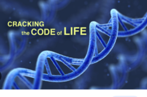 DIAGRAM OF DOUBLE HELIX IN GENETICS THAT IS CRACKING THE CODE TO FIND MEANING OF GENETIC PREDISPOSITION