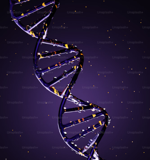 DOUBLE HELIX OF DNA