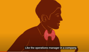 BROWN CHARACTER WITH YELLOW BACKGROUND IN ILLUSTRATION SAYS THYROID IS LIKE THE OPERATIONS MANAGER IN A COMPANY. 