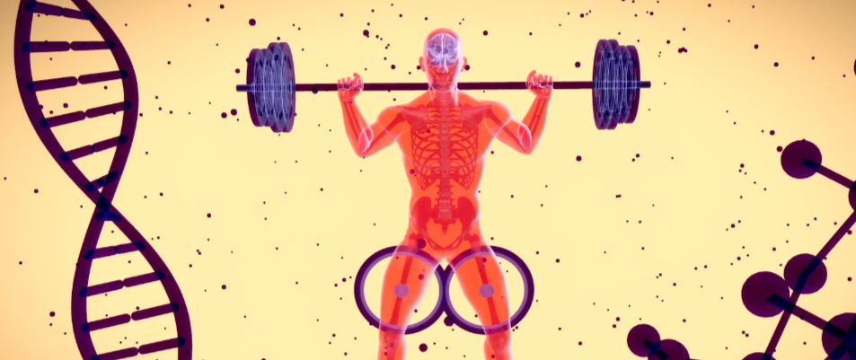 CARTOON OF A WEIGHTLIFTER IN ORANGE COLOR AND A PURPLE DOUBLE HELIX SYMBOL WITH A PALE YELLOW BACKGROUND