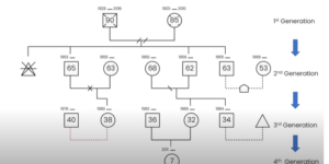 DIAGRAM OF GENOGRAM