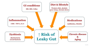 DIAGRAM OF AN INFOMERCIAL ABOUT THE RISK OF LEAKY GUT.