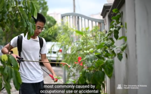 YOUNG MAN SPRAYING HARMFUL PESTICIDES ON HIS GARDEN.