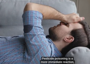 HARMFUL PESTICIDES HAS MADE THIS YOUNG MAN WEARING  BLUE SWEATER SICK AS HE LAYS DOWN HOLDING HIS HEAD.