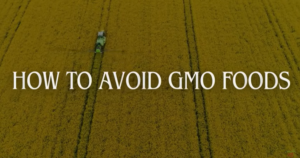 IMAGE INFORMS US TO AVOID DANGEROUS GMOs at ALL COSTS