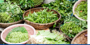 PREPARING THE BEST HERBAL TEAS IN A BOWL