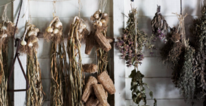 THE BEST DRIED HERBAL TEAS HANGING ON A RACK