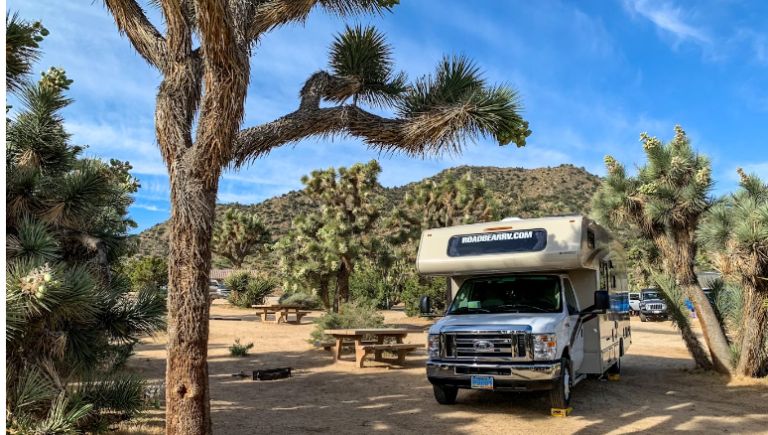 BEST RVS FOR THANKSGIVING AT RECREATIONAL VEHICAL ARRIVING AT A CAMPGROUND