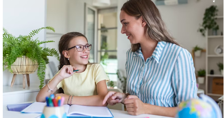 HOME SCHOOL VS. PUBLIC SCHOOL